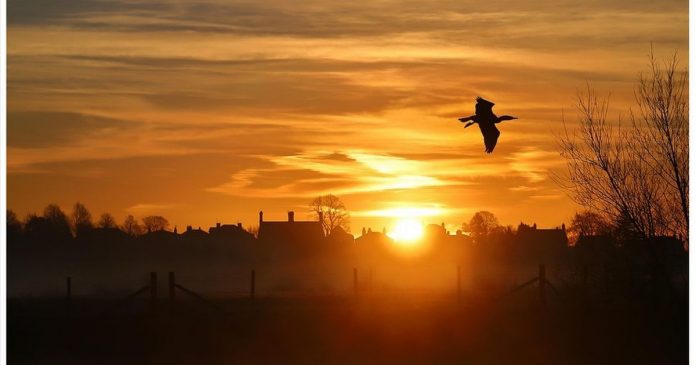The most frequently asked questions about Cheshire - according to Google

